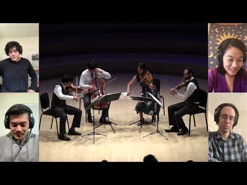 Telegraph Commentary - Dvořák String Quartet Op. 105, First Movement