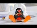 Pingu English New Episodes 39