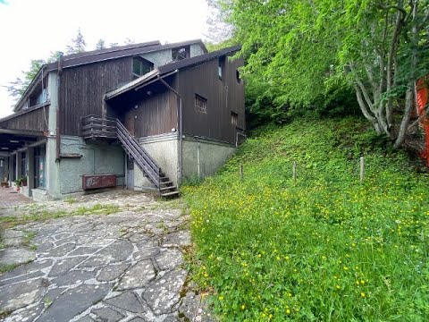 Video 4
