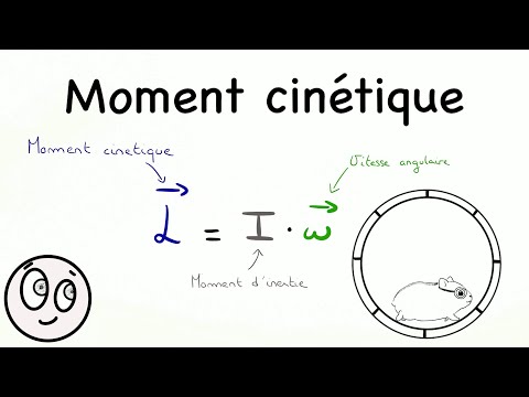 Comment calculer le moment cinétique et moment d'inertie - Physique universitaire