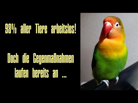 98% aller Tiere arbeitslos - Gegenmaßnahmen laufen an!