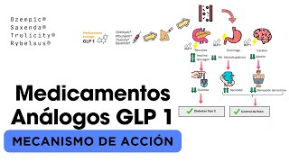 💊 Mecanismo de acción de Medicamentos Análogos GLP 1:💉 Ozempic ®, Saxenda ®, Rybelsus ® y otros