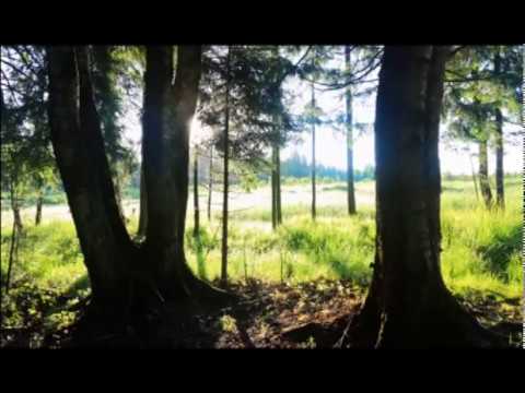 Robusta Project - Two Oceans ( Два Океана ) ( Official Music Video )