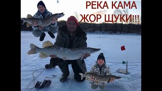 Ссылка