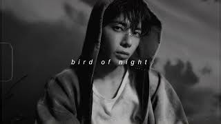 Download lagu tomorrow x together - bird of night (slowed reverb) mp3 Download lagu tomorrow x together - bird of night (slowed reverb) mp3