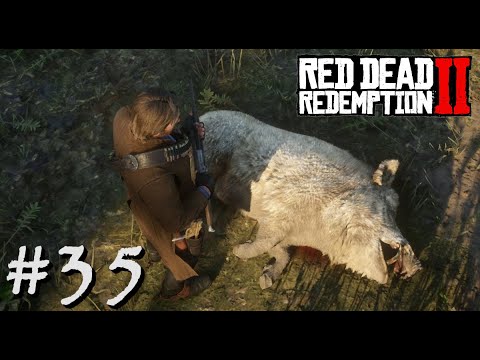 Red Dead Redemption 2 #35 – Legendäres Wapiti, Wildschwein und Biber [Lets Play]