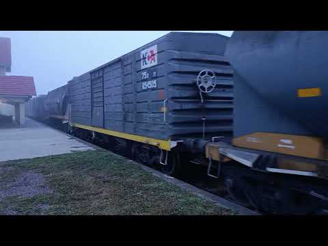Gt-22 (9090) con un Tren Cargado de N.C.A a su paso por "Estación Forres" en plena mañana de niebla.