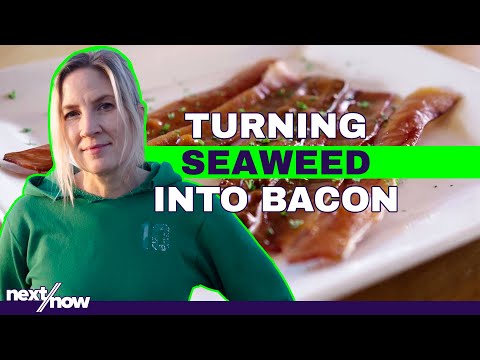 Ocean-Grown, Plant-Based Bacon | Umaro Foods