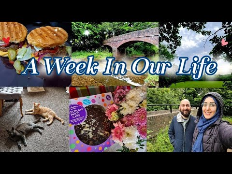 ✨️ Day In The Life UK Vlog ✨️ I TURN 33 🥺 Cooking 👩🏻‍🍳 Nature Walks🚶🏻‍♀️Cats & Wildlife 🐾 Shopping 🛍
