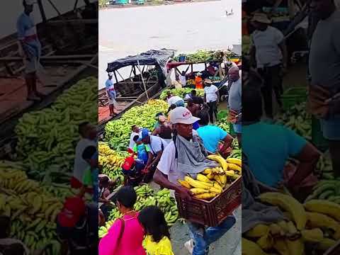 si hay plátano.  Riosucio Chocó