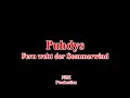 Puhdys - Fern weht der Sommerwind(Lyrics)