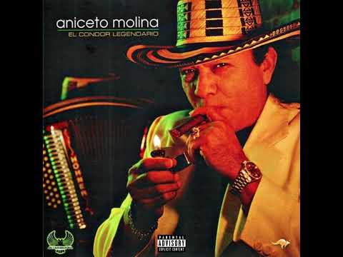 Aniceto Molina - Cumbia Sampuesana (Official Audio)