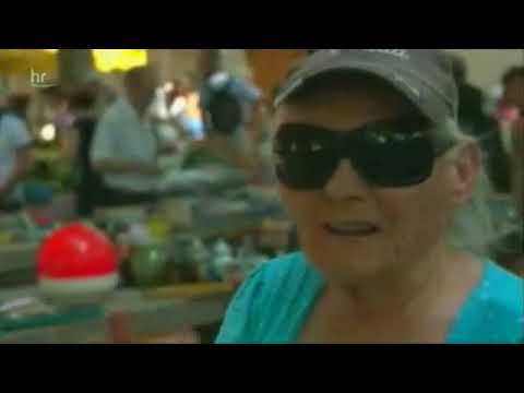 Dalmatien ahoi! Eine Seefahrt nach Split, Brac und Hvar hr