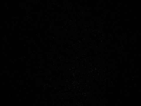 Being Human Denis Charles with Wayne Horvitz, Peter Kuhn, William Parker