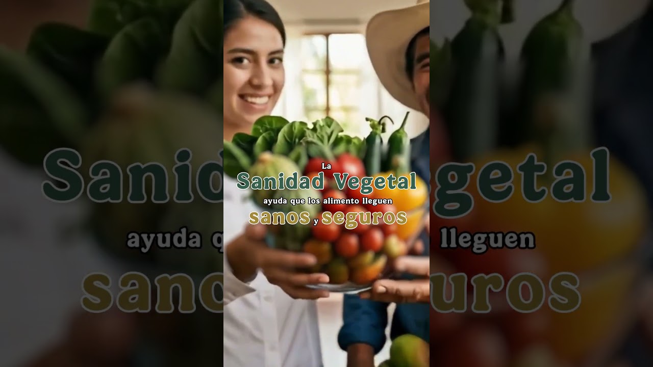 Día Internacional de la Sanidad Vegetal