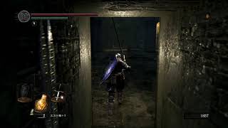 [録画声なし]　初見・リマスター版DARK SOULS -人間性９つめ -