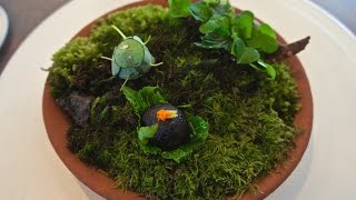 Lunch at NOMA & more | Copenhagen 16