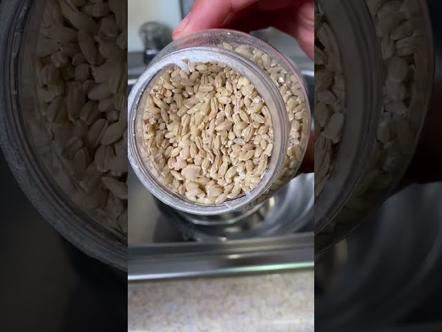 Vídeo relacionado con Kensho | Shio Koji Ecológico | Miso de arroz sin soja y ni gluten | Fermentación Natural | VeggieFriendly | Macrobiótico | Especial comida Japonesa| 380gr