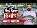 Salmon fish farming in india | सलमान मछली पालन | west fish farming | Rawai fish farm #fishing