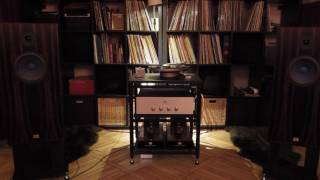 Captain Beefheart & His Magic Band — Mirror Man, Tarotplane.