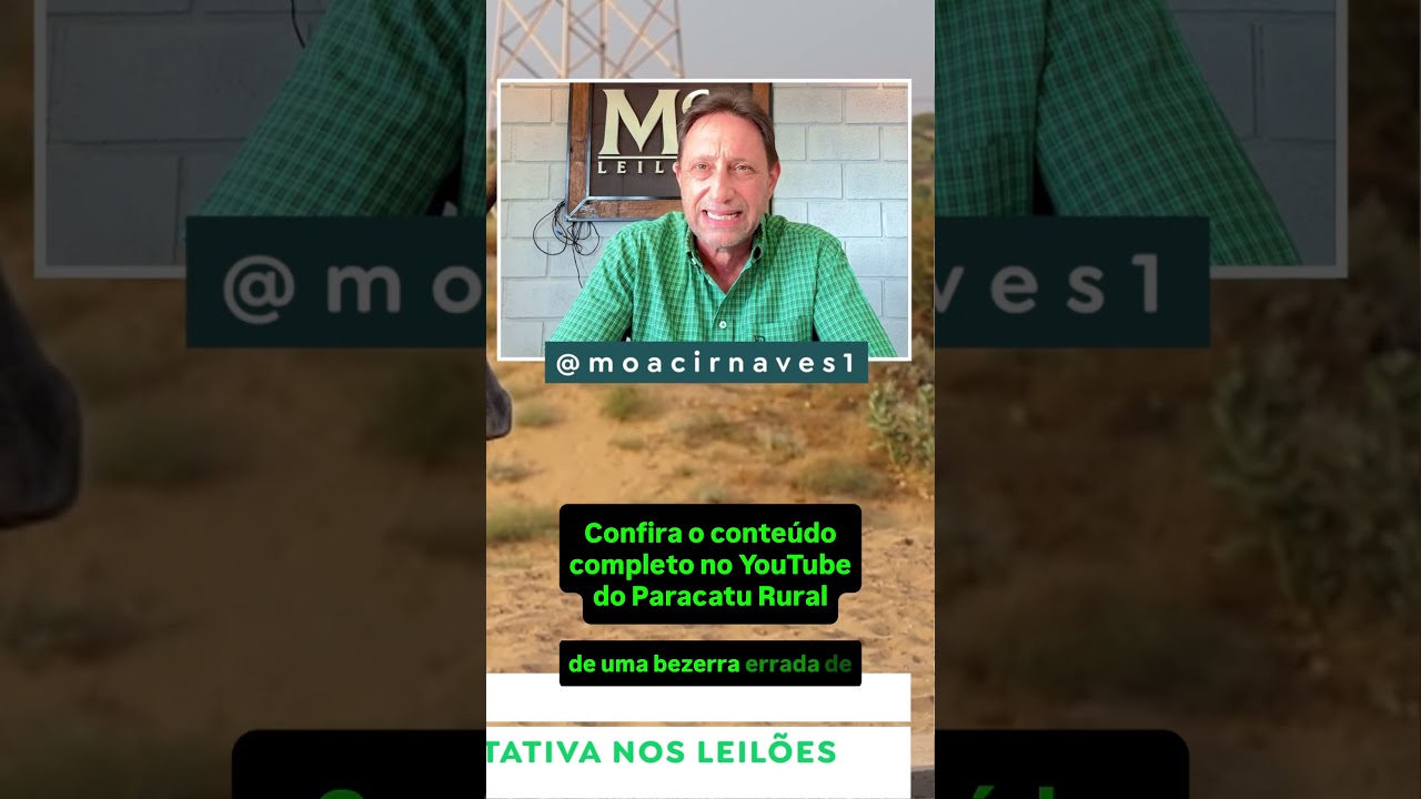 Boi Rumo aos R$400, Bezerro em Alerta nos Leilões e Pressão nos Preços do Leite!