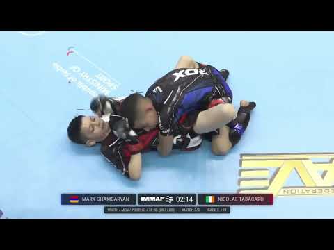 Mark Ghambaryan vs. Nicolae Tabacaru
