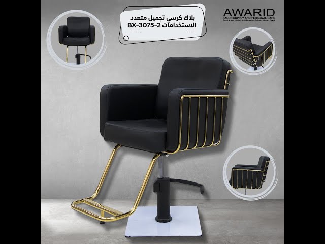 بلاك كرسي تجميل متعدد الاستخدامات BX-3075-2