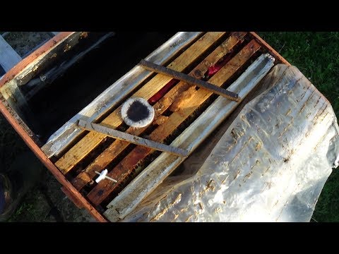 Три рамки в зиму, сохранение единицы на пасике