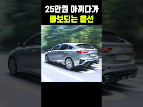 국산차 역대급 최고의 혜자 옵션ㄷㄷ