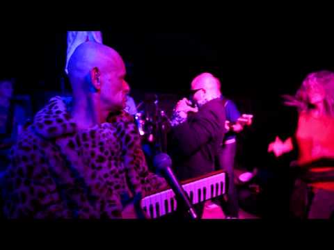 Robert Brylewski & Skadyktator i Jego Kosmiczne Kombo