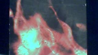 cemetary - and julie no more