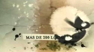 Mujeres Asesinas (Serie Original) Resumen 4 Temporadas