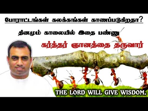 Do this every morning, God will give you wisdom | tpm message | pas teju,