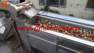 brush type fruit and vegetable washing machine/vegetable/fruit/peach washer