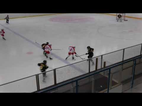 IFK Tumba Hockey Team 08 vs Älta IF