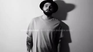 Owl City - Bird With A Broken Wing ( Porter Hasha Cover )