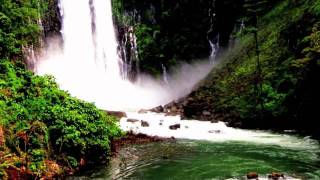 Peace (Nature) A Tribute To Charles Stepney