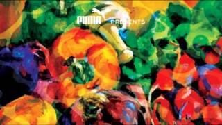 Rockie Fresh &amp; Casey Veggies - Celebrating Life / Interlude (Fresh Veggies)