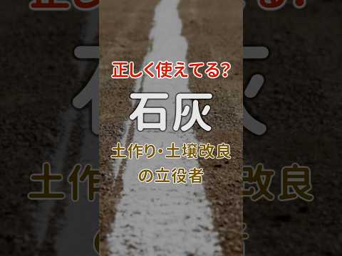 樹木栽培用石灰をいつ散布するか?その理由とその方法を見てみましょう！  庭園
