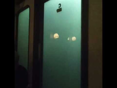 Hogwarts Express Complete Experience  ( Hogsmeade to Diagon Alley) - Universal Orlando