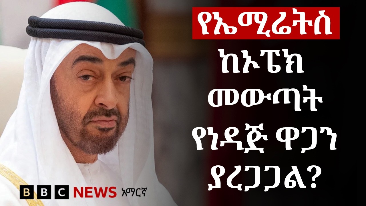 የተባበሩት አረብ ኤሚሬትስ ከኦፔክ አባልነት መውጣቷ ምን ተጽዕኖ ይኖረዋል? | BBC News አ?