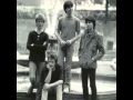 The chameleons - Is it any wonder