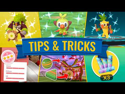 Watch This BEFORE Grookey Community Day