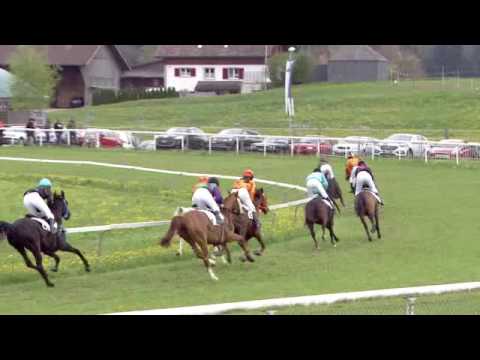 Fehraltorf/17.04.2017/Poneys D. - Preis der Firma Intool AG