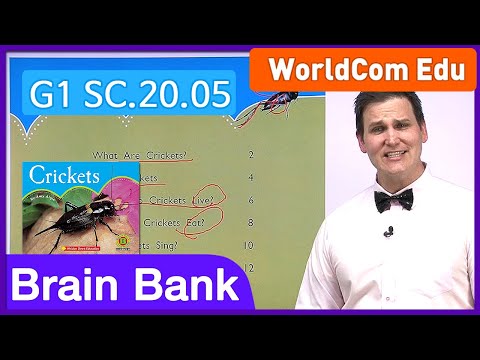 Learn English | Brain Bank Grade 1 Science | 20 Crickets - Part 1/3 | English stories for Children