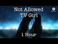 Not Allowed - TV Girl ~||1 Hour||~