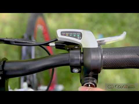 Quảng cáo xe đạp điện trợ lực Wii Bike