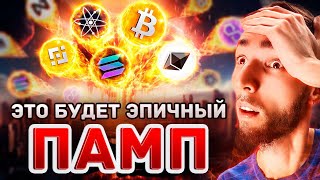Bull Market Beginner's Guide — Full Breakdown & Transcript
