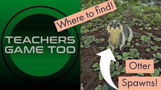 Valguero Otter Spawn Locations!
