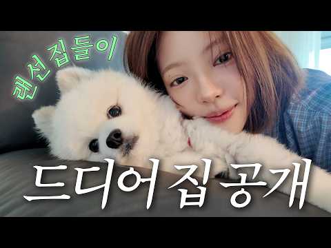 고니의 새집 최초 공개🏠 취향 가득 채운 룸투어!